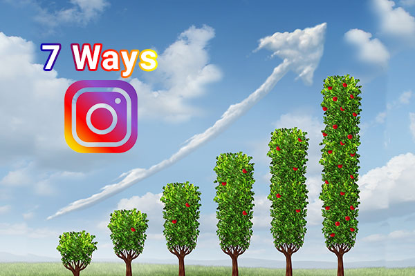 Seven Ways To Grow Your Instagram Followers This Year
